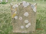 image of grave number 778685